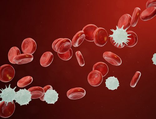 What are Early Symptoms of Blood Cancer?