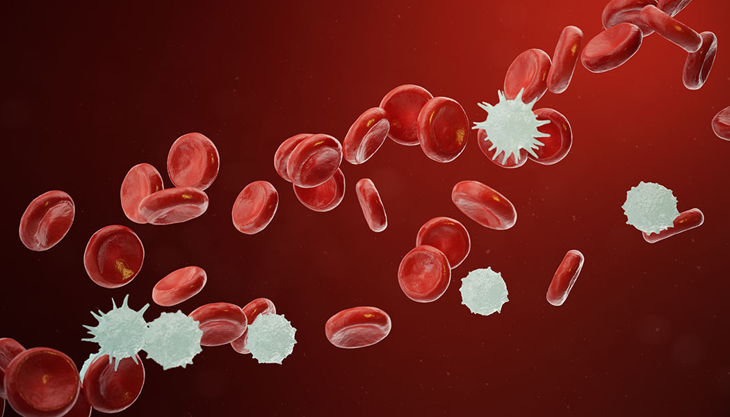 Blood cells including cancer cells